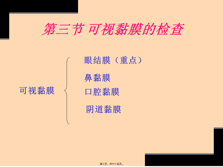 体温脉搏呼吸数的测定.pptx_第2页