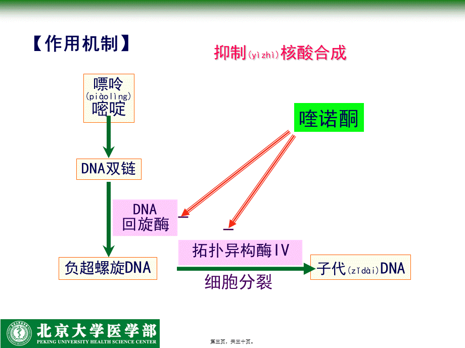 2022年医学专题—人工合成抗菌药-北医.ppt_第3页