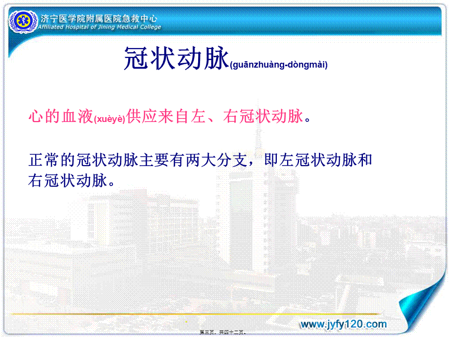 2022年医学专题—冠状动脉造影术--徐同亮(1).ppt_第3页