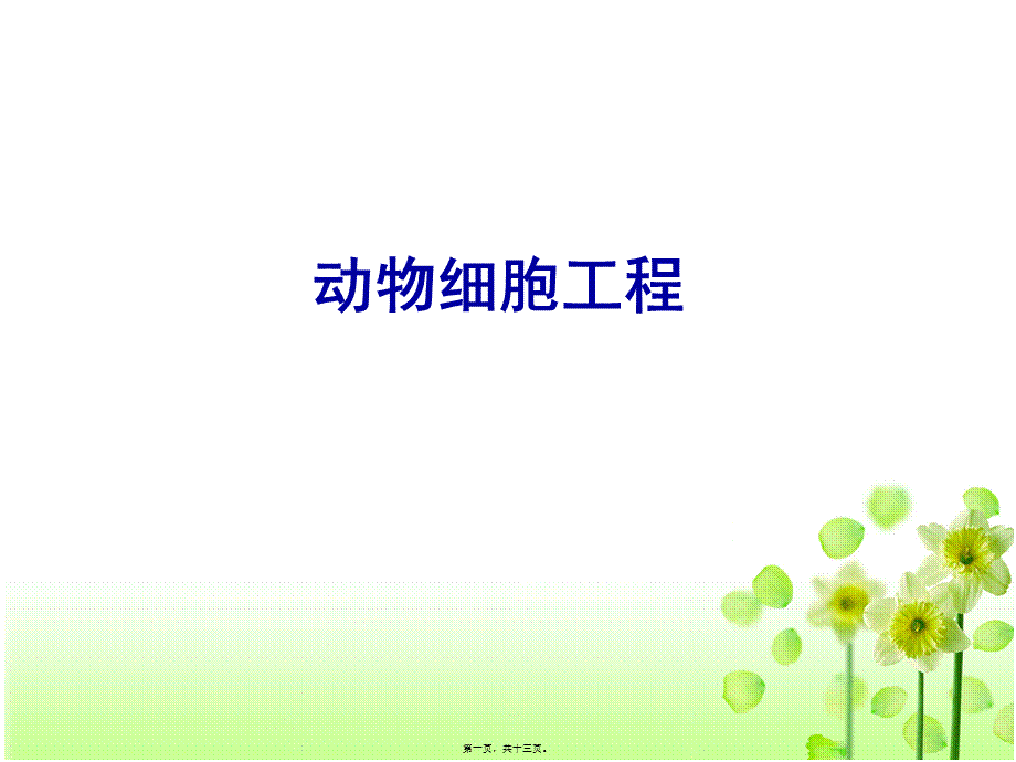 动物体细胞核移植技术和克隆动物(2016年).pptx_第1页