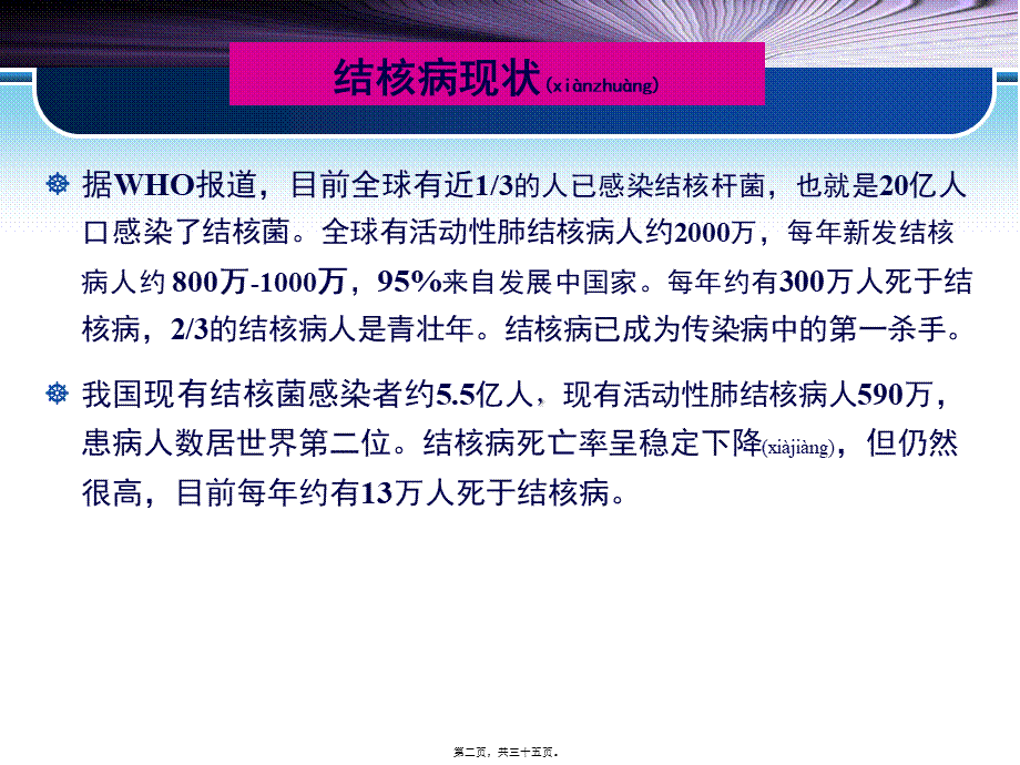 2022年医学专题—第45章--抗结核药(1).ppt_第2页