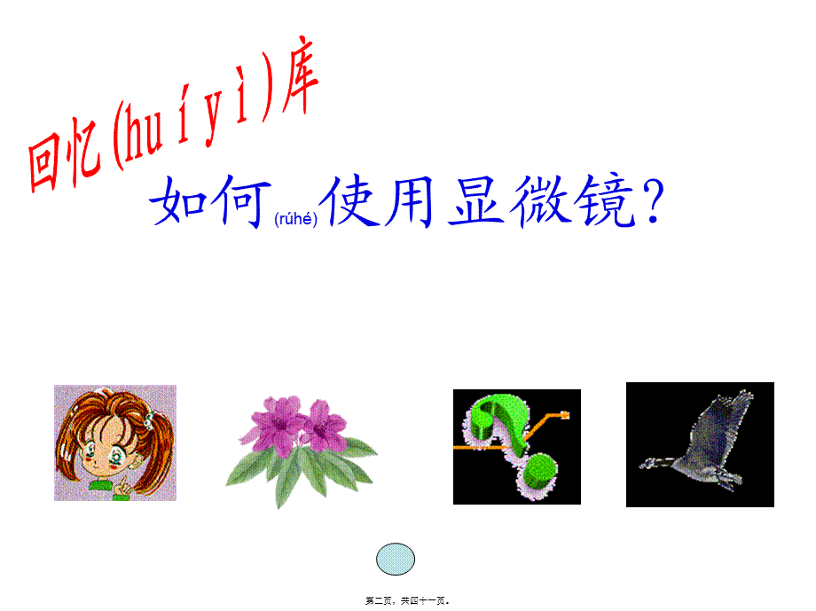 2022年医学专题—第二节植物细胞2(1).ppt_第2页