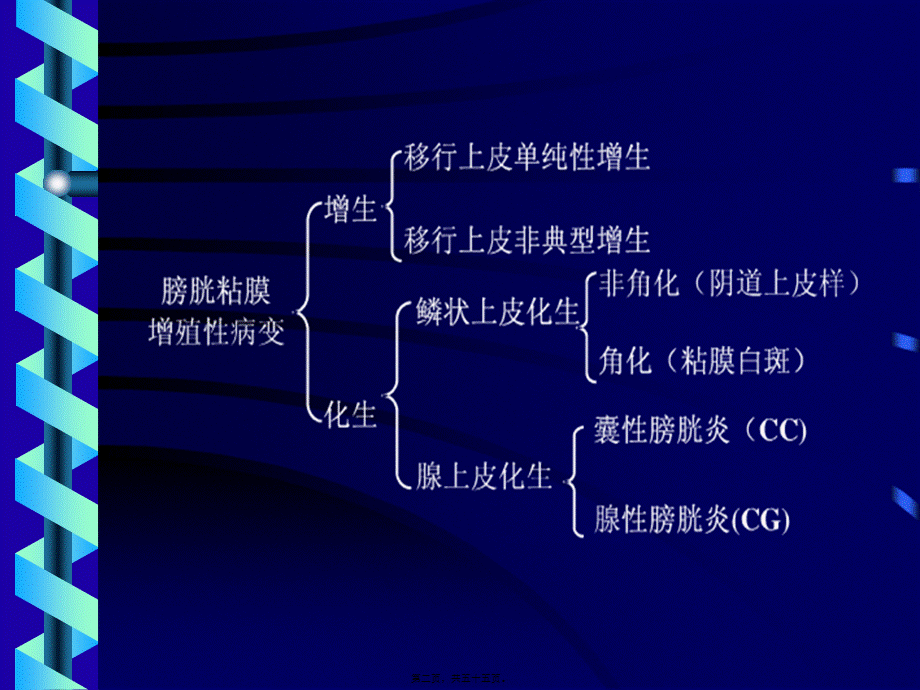 增殖性膀胱炎诊治.pptx_第2页