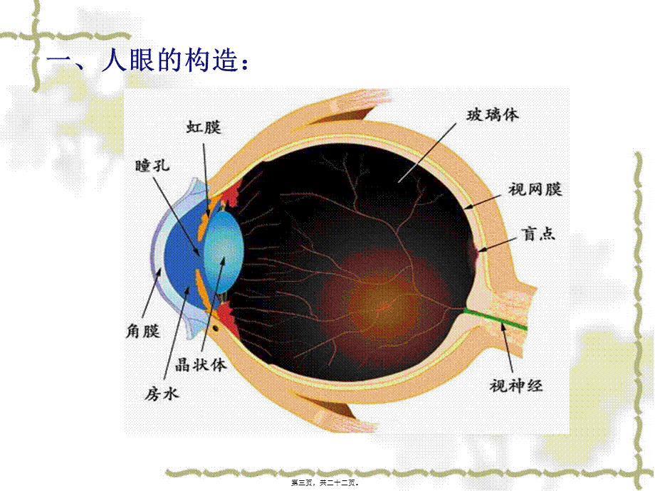 4.6：眼睛与视力矫正(1).pptx_第3页