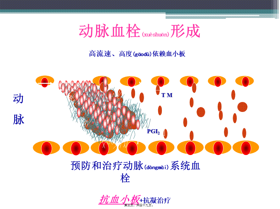 2022年医学专题—抗血小板与出血(1).ppt_第3页