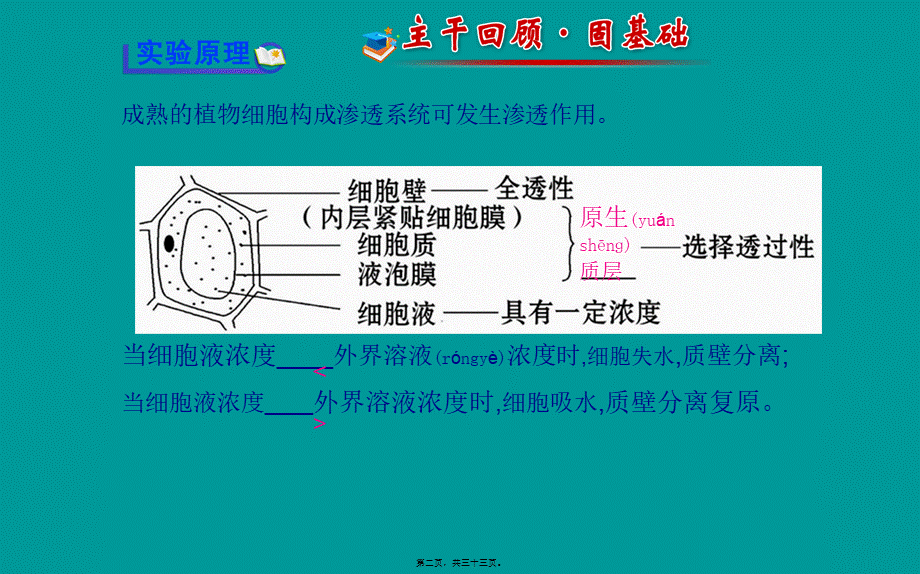 2022年医学专题—探究植物细胞的吸水和失水成熟的植物细胞构成渗透系统可发生渗透(1).ppt_第2页