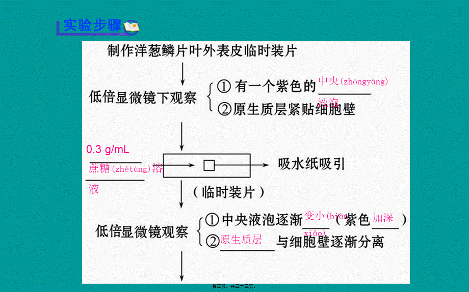 2022年医学专题—探究植物细胞的吸水和失水成熟的植物细胞构成渗透系统可发生渗透(1).ppt_第3页