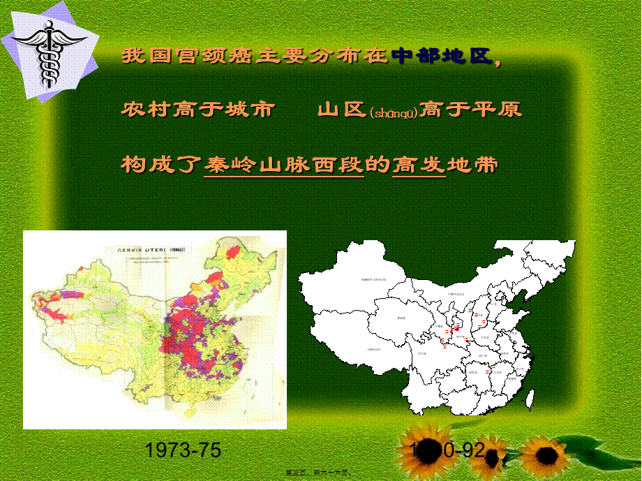 2022年医学专题—宫颈癌及相关问题研究进展(1).ppt_第3页