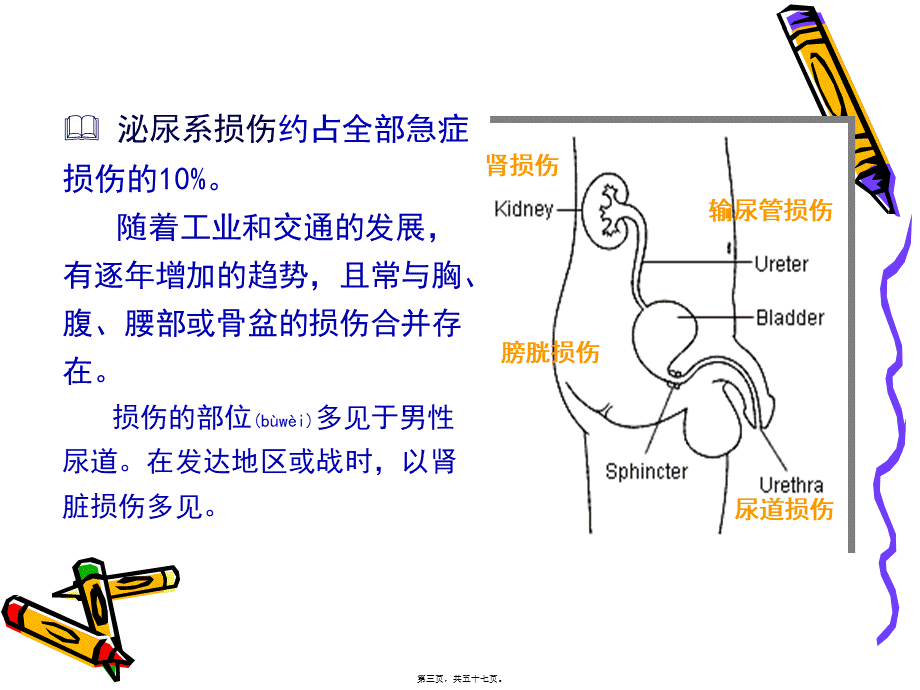 2022年医学专题—泌尿系统损伤PPT(1).ppt_第3页