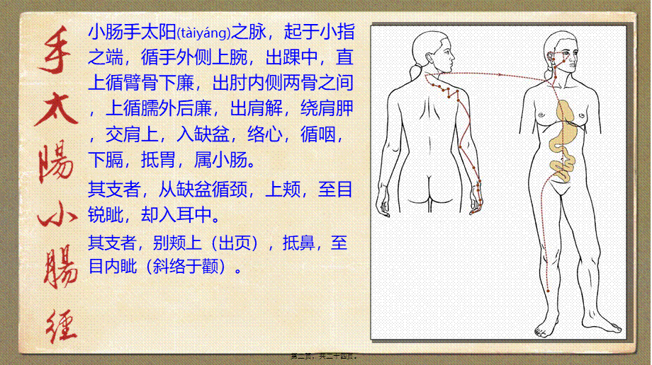 2022年医学专题—.手太阳小肠经.ppt_第2页