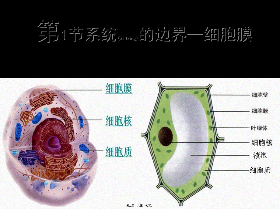 2022年医学专题—细胞膜公开课版本.ppt_第2页