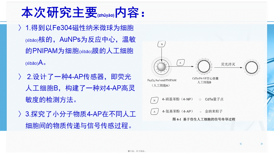 2022年医学专题—人工细胞间仿生信号传导与传感体系研究.pptx_第3页