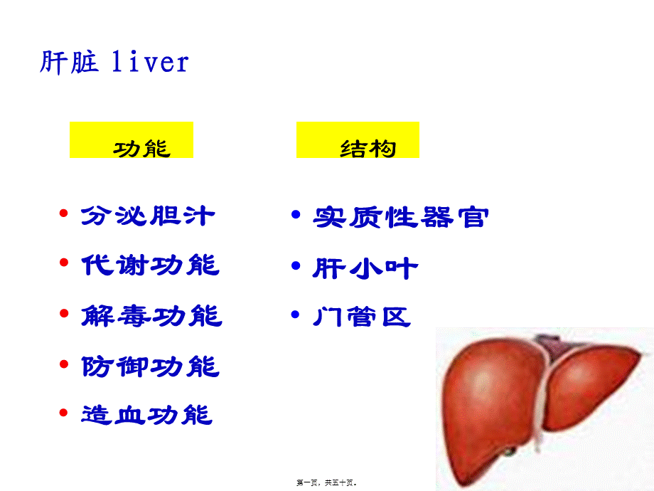 五年制肝不全功能-pp新版t.pptx_第1页