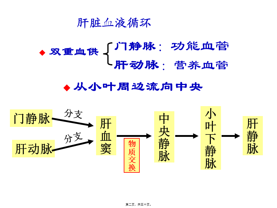 五年制肝不全功能-pp新版t.pptx_第2页