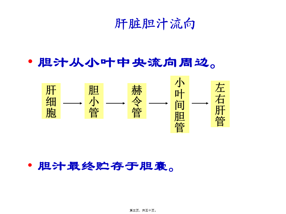 五年制肝不全功能-pp新版t.pptx_第3页