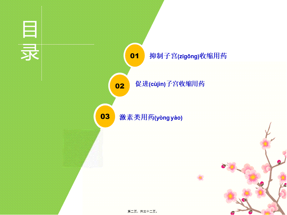 2022年医学专题—妇科常用专科用药.ppt_第2页