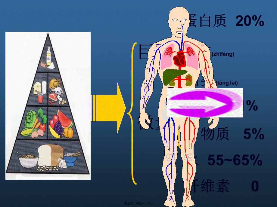 2022年医学专题—七大营养素-营养(1).pptx_第2页