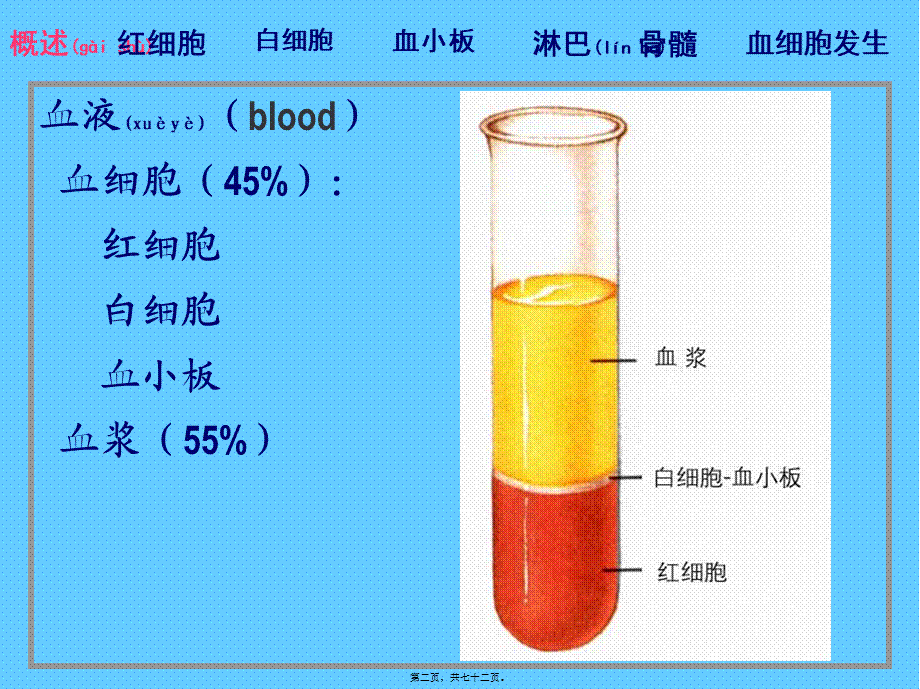 2022年医学专题—组织胚胎学----04血液.ppt_第2页