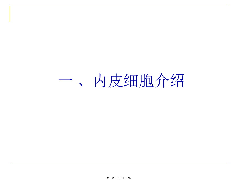 内皮细胞与动脉粥样硬化关系.pptx_第3页