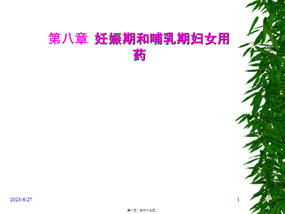 妊娠期合理用药..pptx_第1页