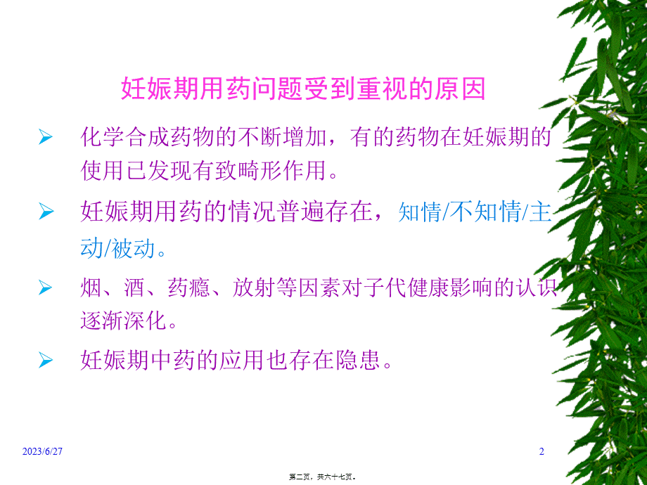 妊娠期合理用药..pptx_第2页