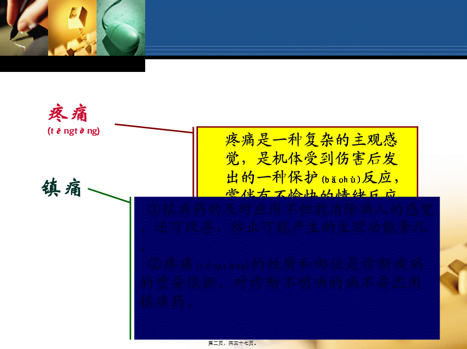 2022年医学专题—第十六章-镇痛药.ppt_第2页