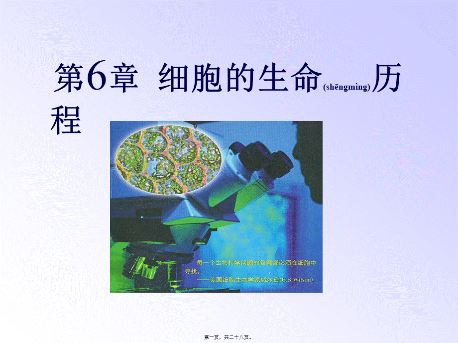 2022年医学专题—细胞的增殖ppt.ppt_第1页