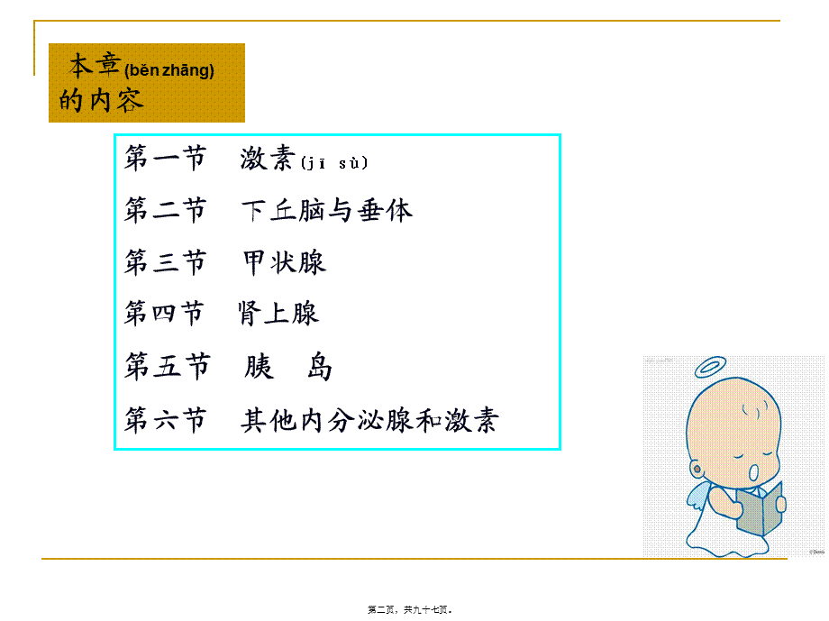 2022年医学专题—内分泌(药学).ppt_第2页