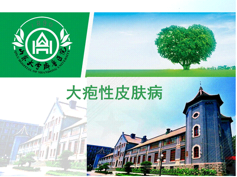 2022年医学专题—大疱性皮肤病1(1).ppt_第1页