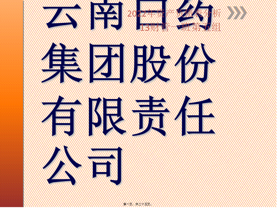 云南白药集团股份有限公司.ppt_第1页