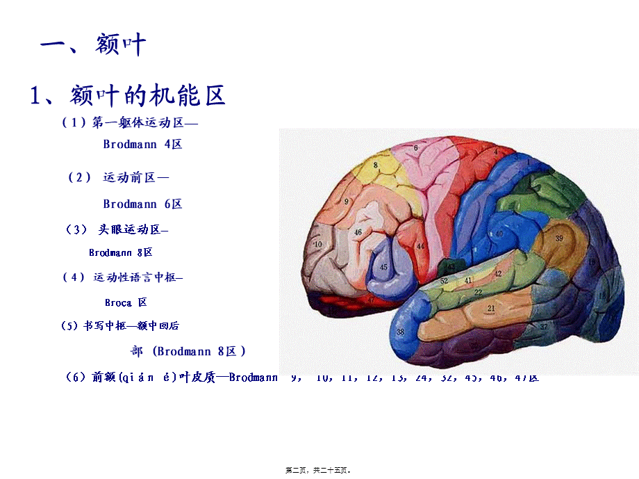 2022年医学专题—大脑额叶的功能概要.ppt_第2页