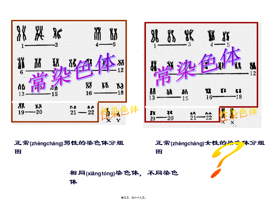 2022年医学专题—伴Y染色体遗传病外耳道多毛症2.ppt_第3页