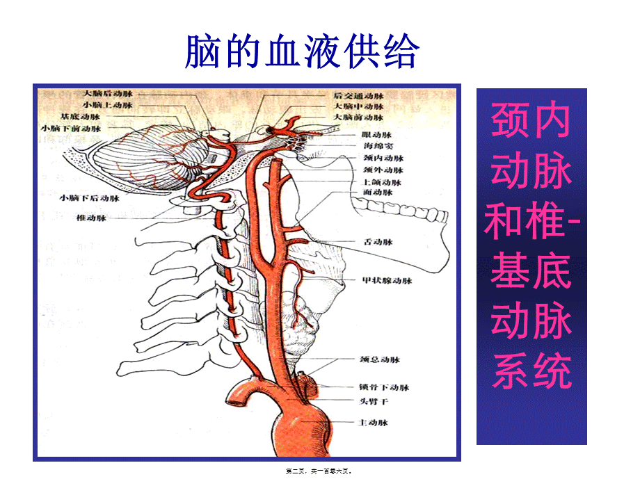 依达拉奉减轻脑水肿和出血.pptx_第2页