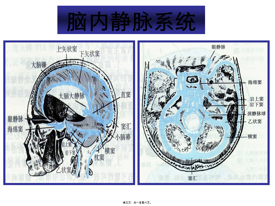 依达拉奉减轻脑水肿和出血.pptx_第3页