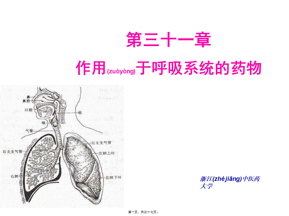 2022年医学专题—第31章-呼吸系统药理.ppt_第1页