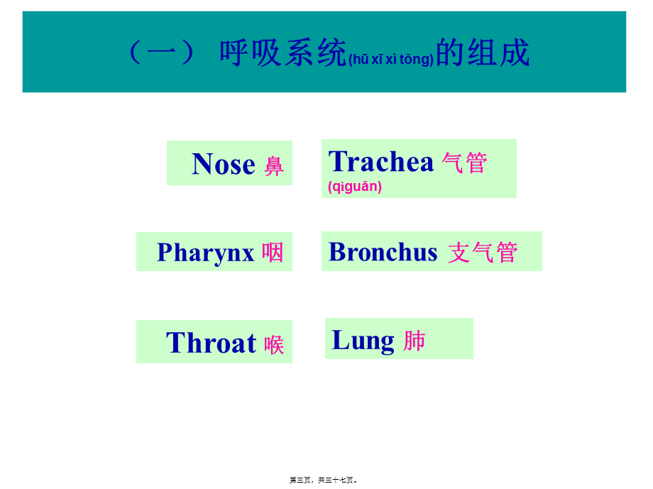 2022年医学专题—第31章-呼吸系统药理.ppt_第3页