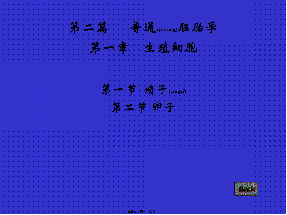 2022年医学专题—生殖细胞、受精.ppt_第3页