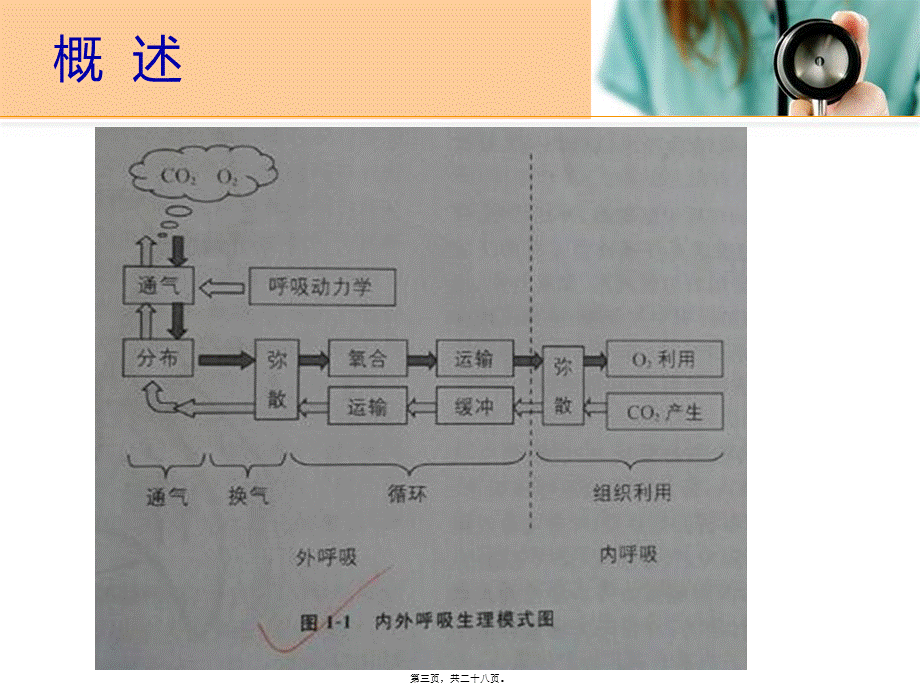 儿科给氧疗法.pptx_第3页