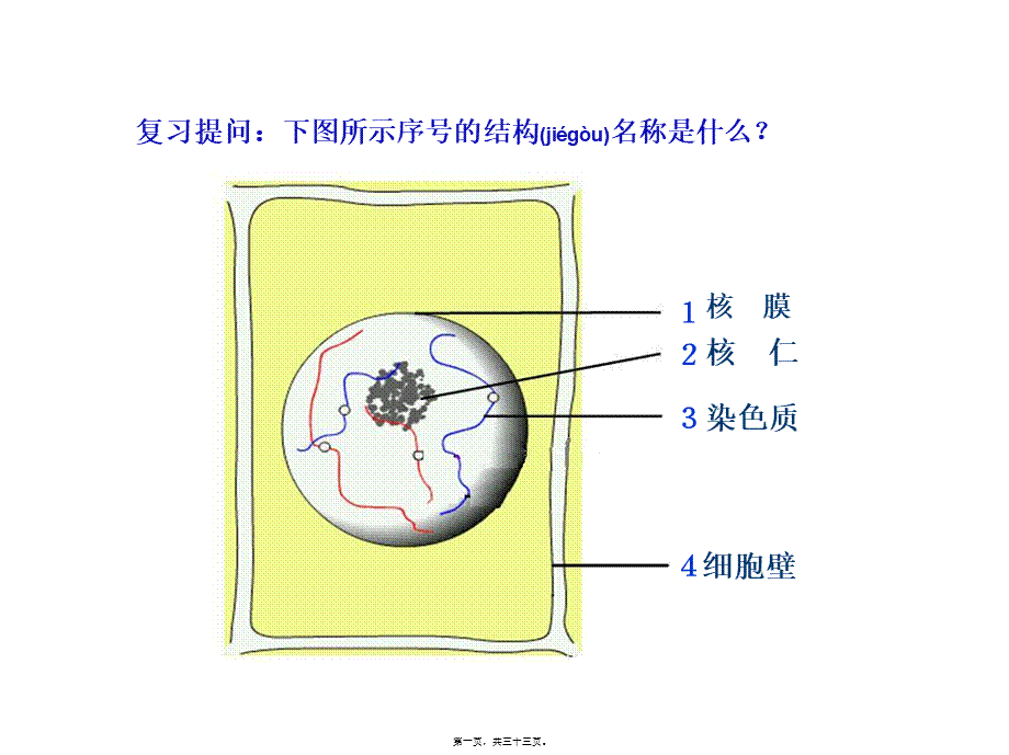 2022年医学专题—细胞增殖使用的(1).ppt_第1页