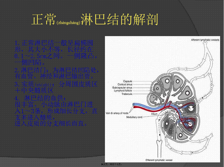 2022年医学专题—慢性淋巴结炎症系列(1).ppt_第3页