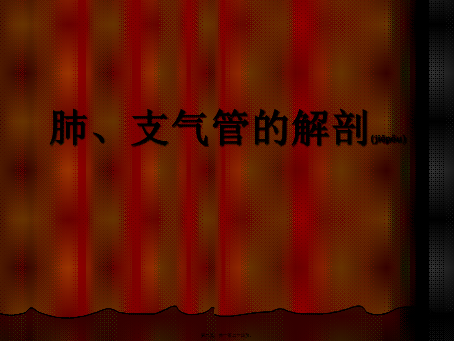 2022年医学专题—肺炎、肺结核见习.ppt_第2页