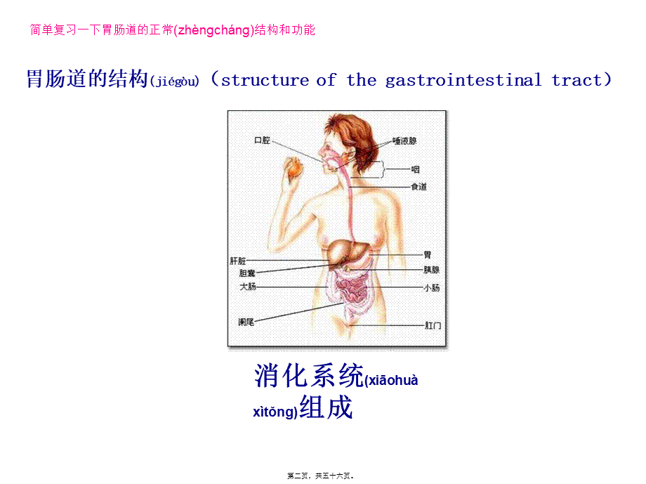 2022年医学专题—胃肠道功能障碍(1).ppt_第2页