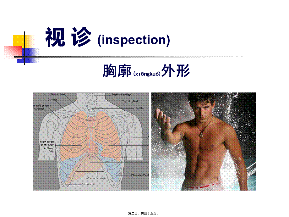 2022年医学专题—肺部阳性体征(1).ppt_第2页