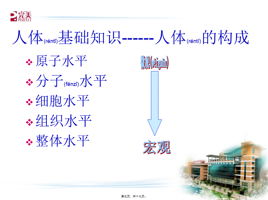 2022年医学专题—人体及营养基础知识(1).ppt_第3页