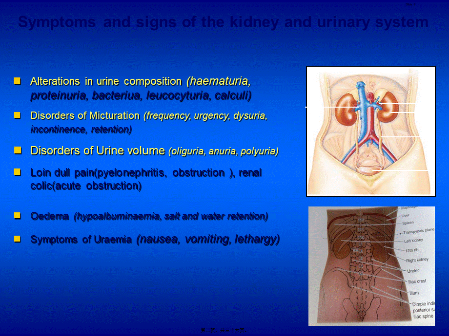 2022年医学专题—症状学12.尿频血尿(1).ppt_第2页