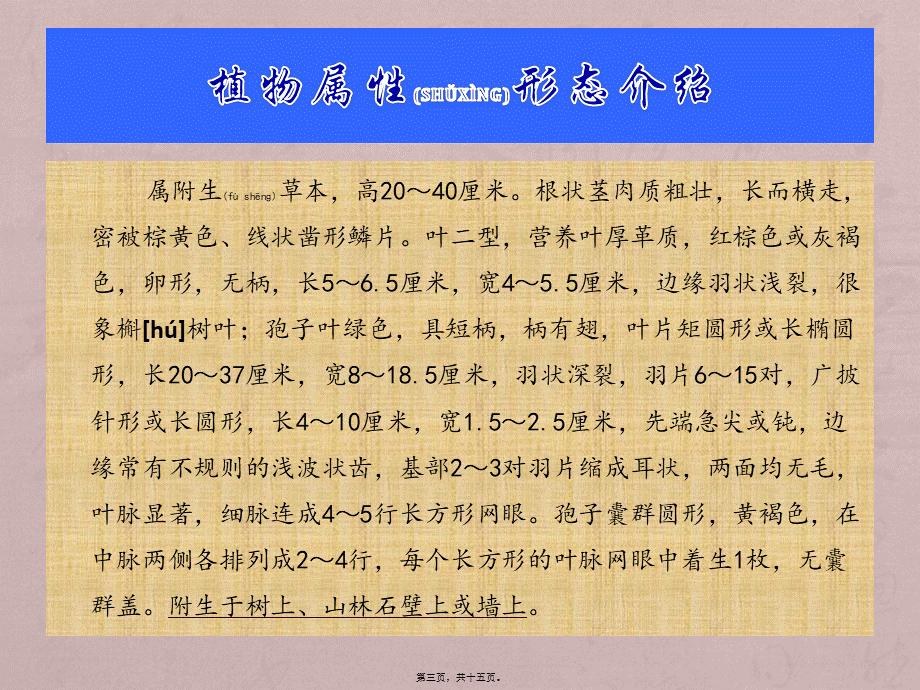 2022年医学专题—^^骨碎补.pptx_第3页