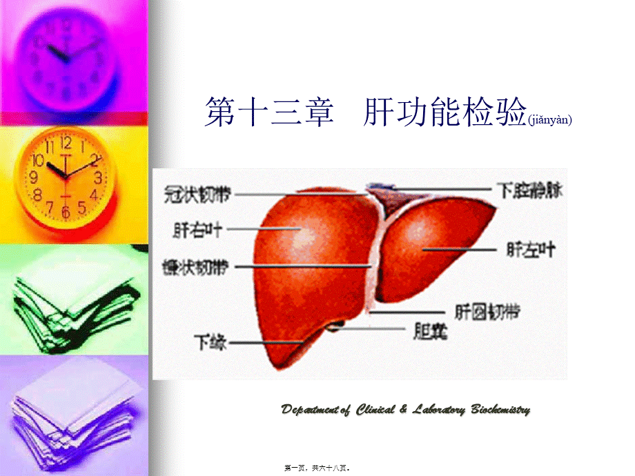 2022年医学专题—肝功能检验讲诉.ppt_第1页