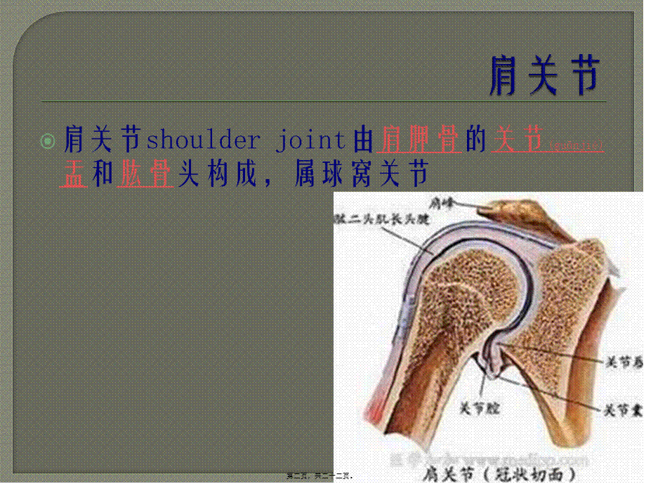 2022年医学专题—肩关节肩袖撕裂.pptx_第2页