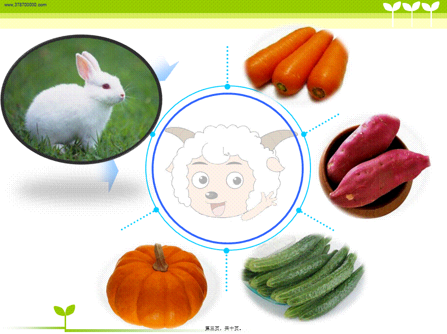 2022年医学专题—不挑食的好宝宝(1).ppt_第3页