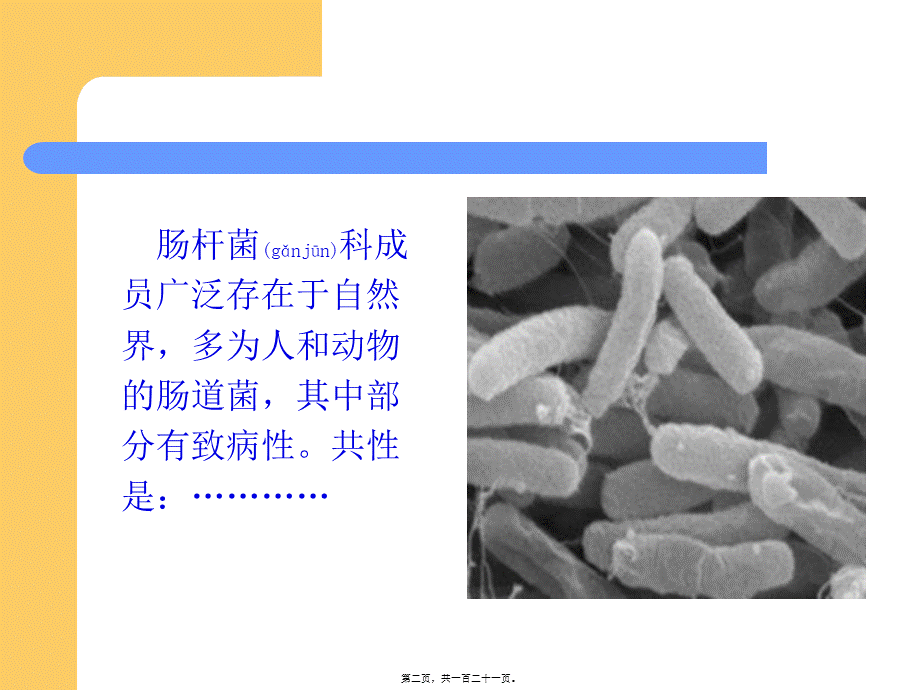 2022年医学专题—第十-六章-肠杆菌科(1).ppt_第2页